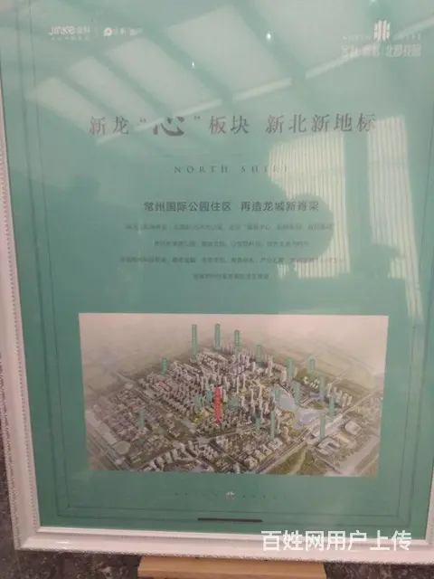 新桥别墅群开发商一手直签房 送花园和地下室 卖一套 - 图片 8