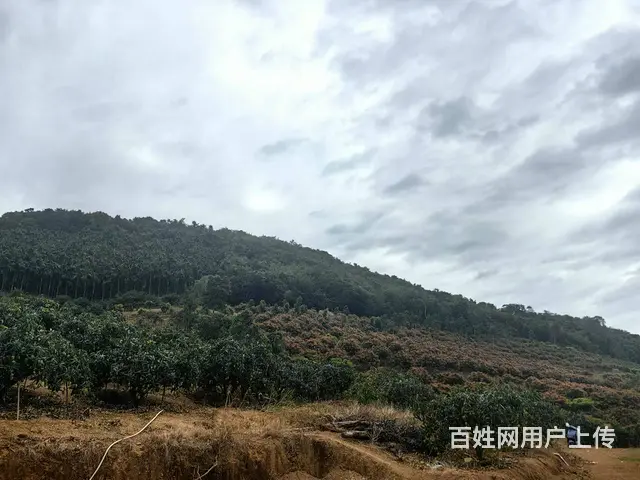 （51旺铺推荐）三亚学院旁1000平土地出租 - 图片 3