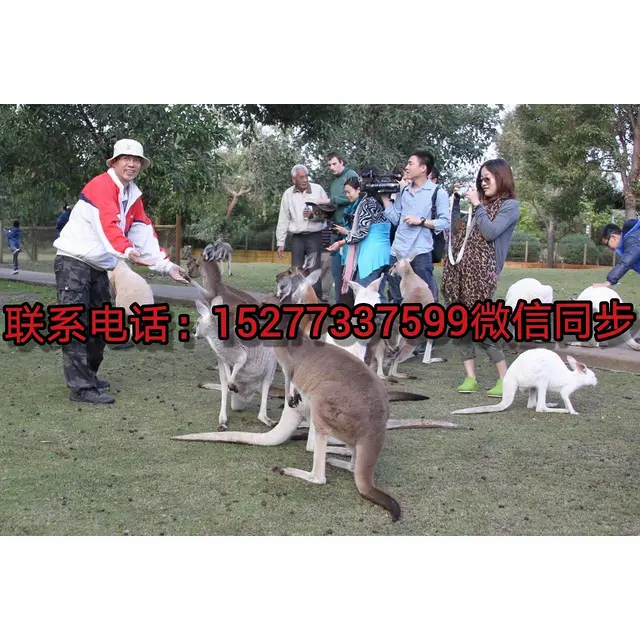 招多种职位/正规国外劳务 - 图片 6