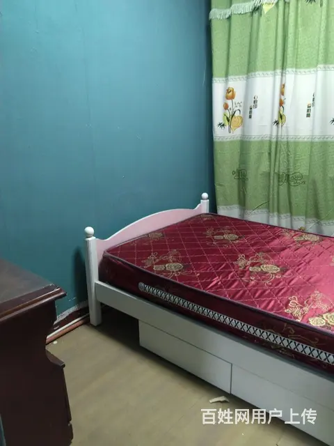 房屋出租 - 图片 6