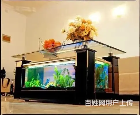 全昆明免费上门鱼缸清洗 鱼缸造景 鱼缸维修 - 图片 4