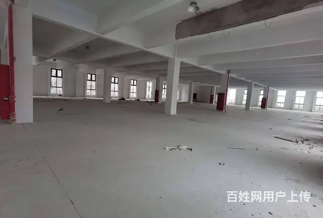 尚湖练塘全新独栋4层，每层1550平，可分租，配套设施齐全。 - 图片 10
