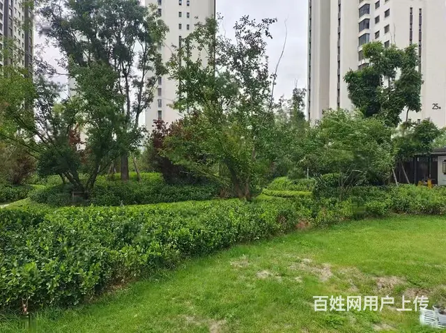 城中 万科城B区 精装三室 空房  商住两用  带 - 图片 11