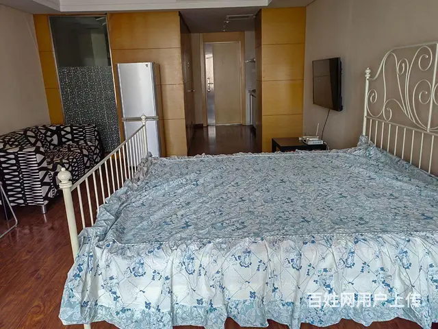 青年大街沿线，地段繁华，精品公寓 - 图片 4