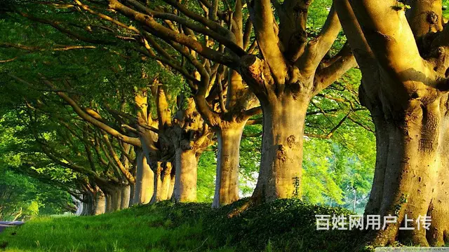 创业做互联网新媒体广告代理信息流广告代理月入10w - 图片 2