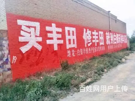 雅安墙体广告施工资阳墙体写字广告农村刷墙广告 - 图片 2