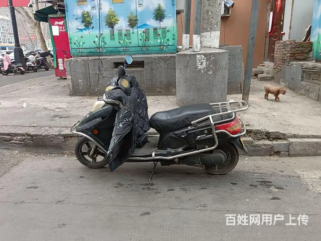 新雷踏板电动车， - 图片 3