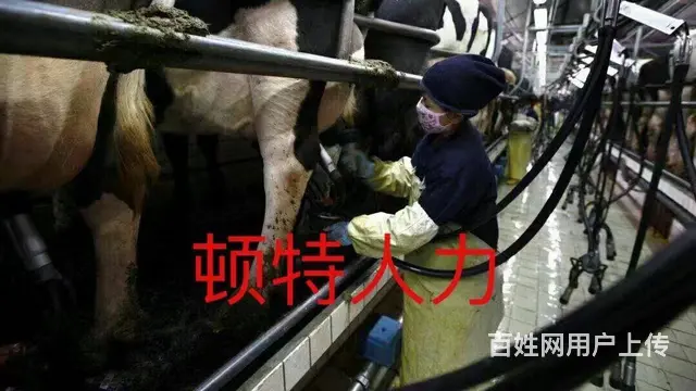 江苏2正规出国劳务、诚招代理。不成功0收费 - 图片 11