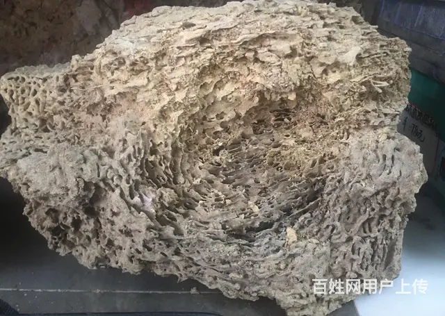 韶关市十三幺白蚁害虫防治有限公司 - 图片 2