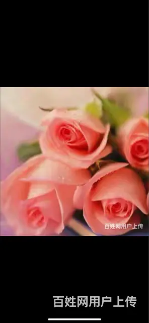 征婚女士 - 图片