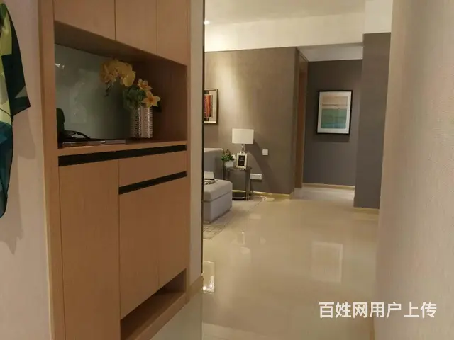 南京北站旁 汊河金地都会艺境 性价比高 户户送一房 - 图片 8
