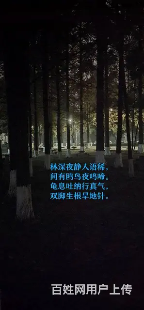 职业股票交易培训 - 图片 11