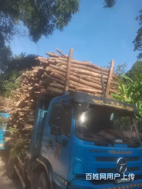 湖北大运 风度 自卸车 国4 - 图片 2