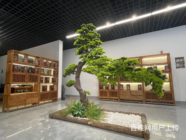 【都市时讯 优选推介】水游城烟酒棋牌室转让 - 图片 2