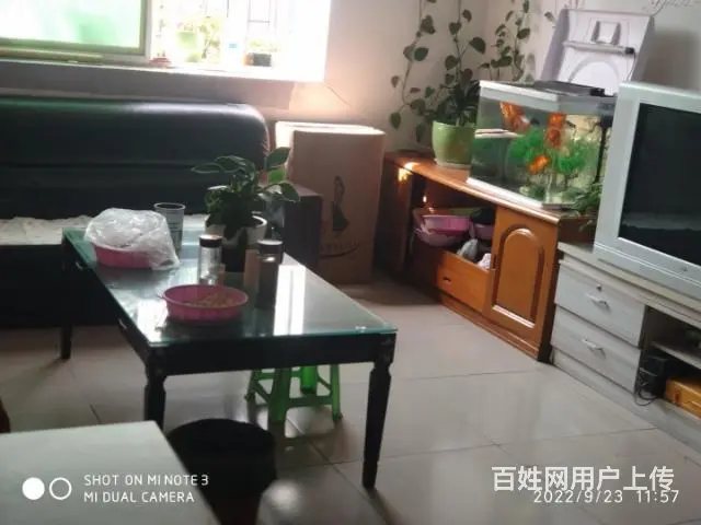 建设路东段125平米套房出售 - 图片 1