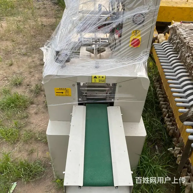 常年供应350伺服枕式包装机 300枕式包装机 - 图片 8