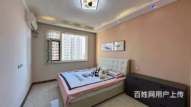 理想0451(道里-尚志) 普通住宅 精装修 - 图片 2