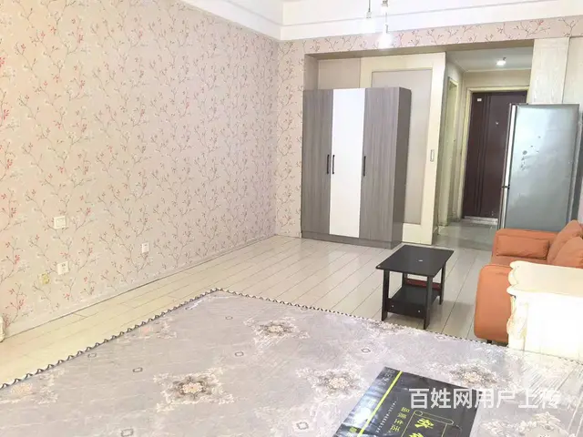 近中街大悦城，丰瑞威士顿公寓 ，1300元/月，精装修家电全 - 图片 5