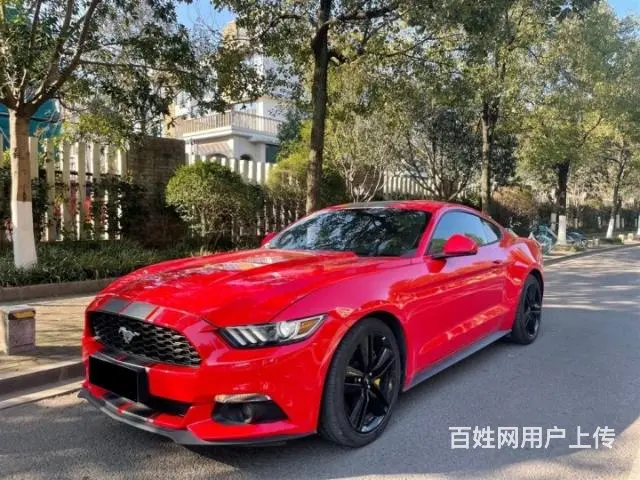 Mustang 2016款 2.3T 运动版 - 图片 2