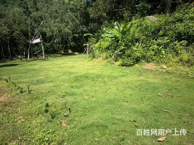 （51旺铺推荐）吉阳区大茅3000平露营基地转让 - 图片 4