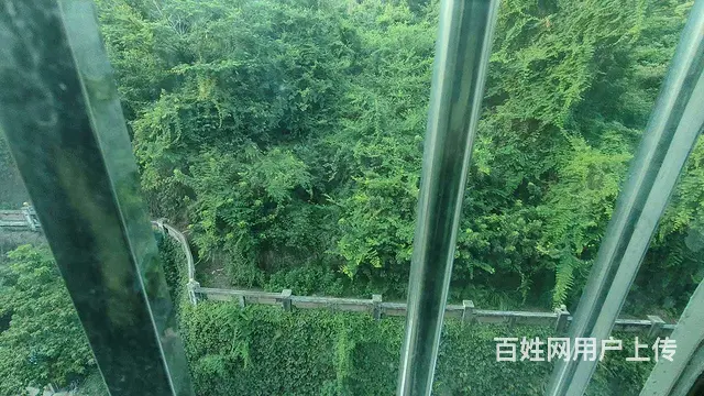 吉大 肆中旁 海莲山庄 精装2房 给你一个温馨的家 - 图片 12