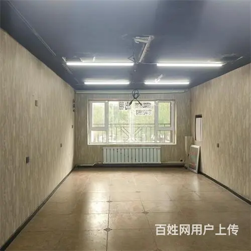 昌邑区上海路花鸟鱼市场对面门市出售 - 图片 4