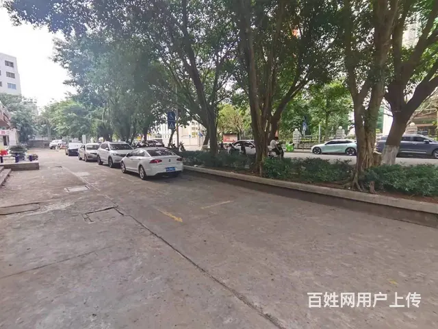 （51旺铺推荐）青年路滨江花园一楼160平铺面招租 - 图片 8