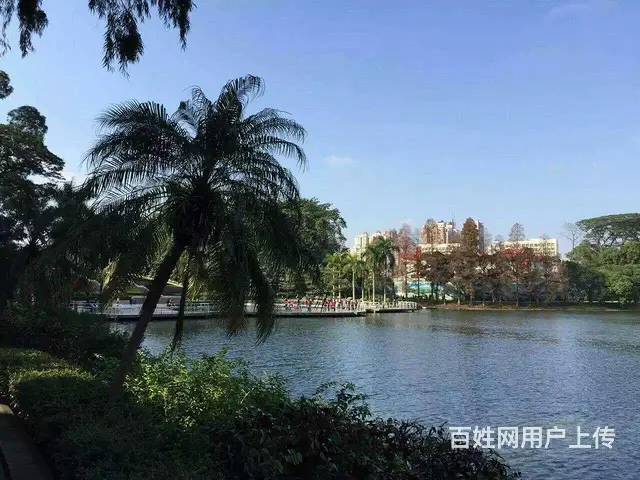 真心找女朋友结婚 - 图片 7