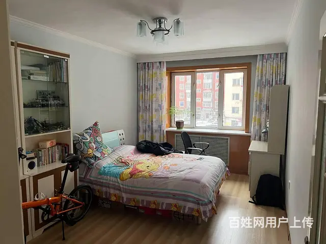 新阳胡同尼龙小区 普通住宅1厅 中等装修 - 图片 3