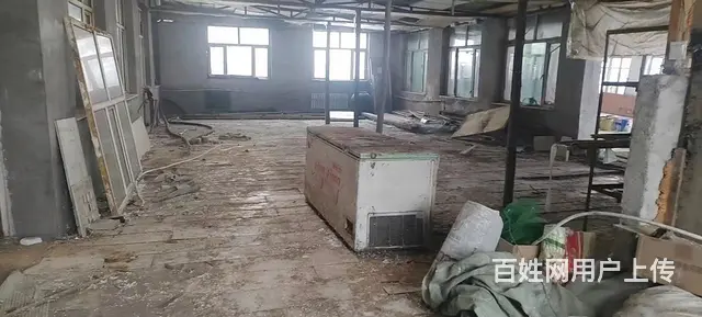 厂房可整体租可分租 - 图片 3