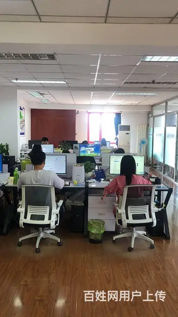 沈阳淘宝拼多多无货源店铺怎么开 - 图片