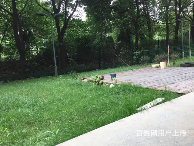 她他花园 带独立大花园！办公、居住都可，环境好 - 图片