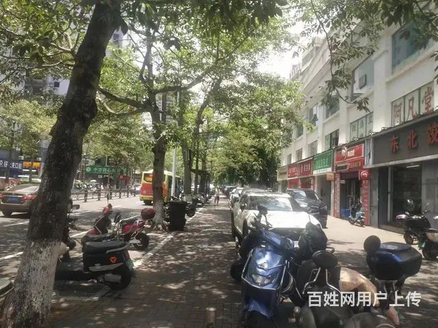 （51旺铺推荐）美兰区五指山路365平台球棋牌转让 - 图片 12