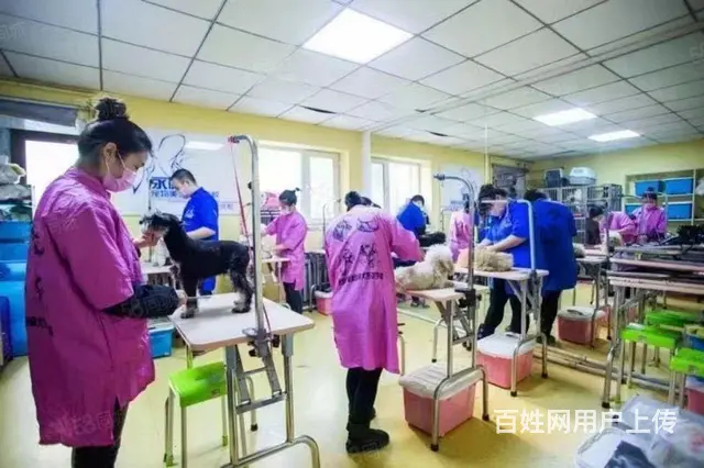 南岗铁路街门市出租 - 图片 7