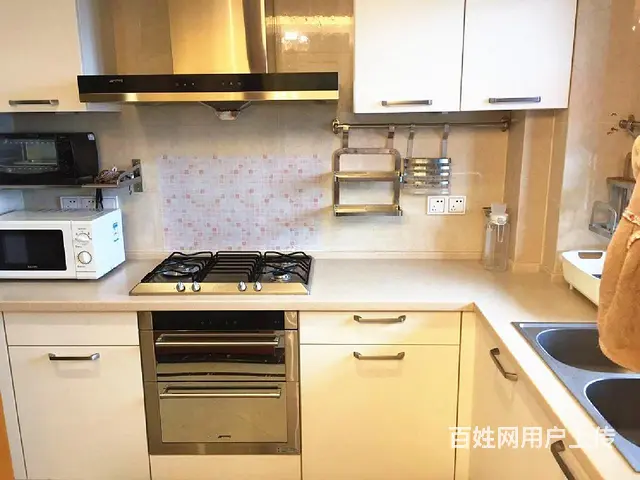 西湖文化广场绿洲花园精装2房杭州大厦打铁关深蓝广场武林国际 - 图片 5