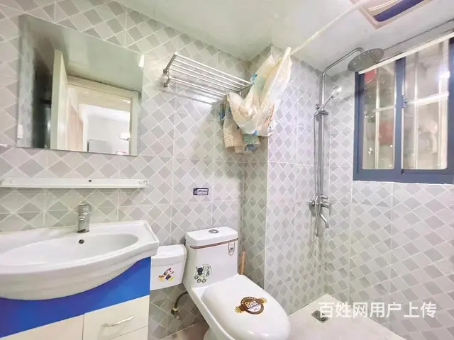 实图月付 彩虹新村 精装电梯两房朝南一样大 采光好 押一付一 - 图片 8