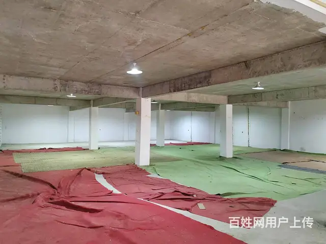 （老板本人）长沙县黄兴镇鹿芝岭收费旁仓库房东直租  6420 - 图片 5