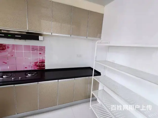 凤凰名城 阳光住宅 豪华装修 走出四位985大学生 - 图片 3
