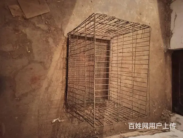 宠物笼子 - 图片