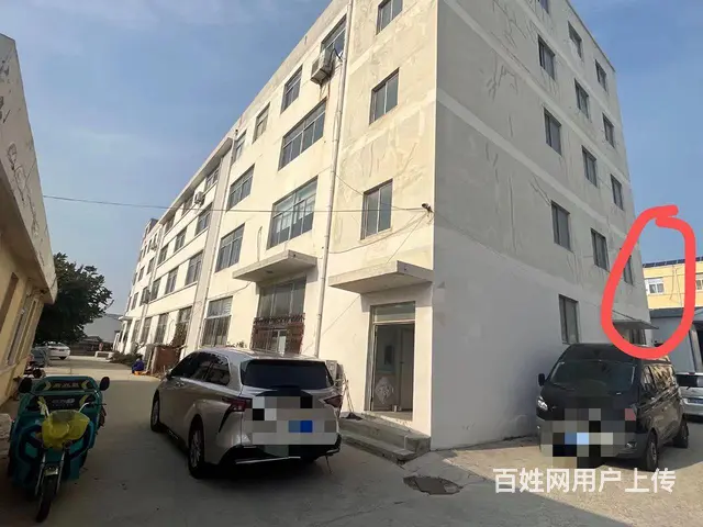 （新房源）羊亭和兴路附近标准厂房出租可分租 - 图片 9