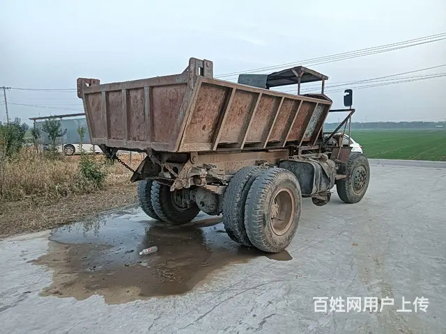 四不象 - 图片 1