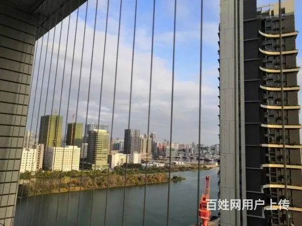 濠江丽景苑 精装温馨两居室 超干净整洁 房东急租64 - 图片 12
