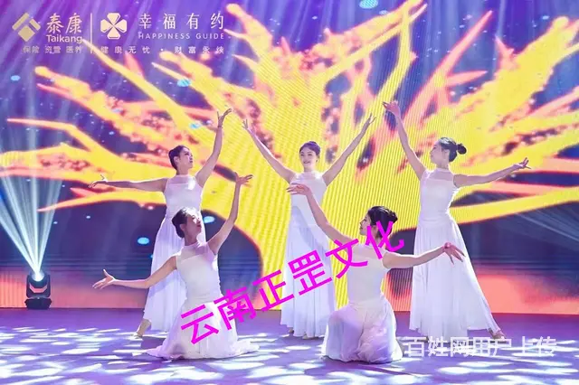 云南特色节目、舞蹈定制、礼仪模特、小丑、杂技、舞狮 - 图片 12