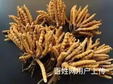 高价回收阿胶 海参 燕窝鱼翅 虫草 鲍鱼等高档礼品 - 图片 1