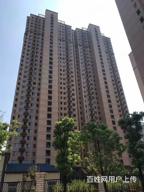 楚河汉街 螃蟹岬 省图书馆 万达尊 沙湖明珠 独立 - 图片 11