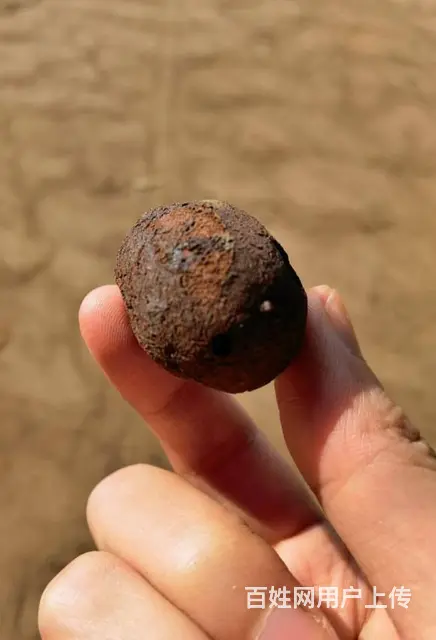 雅安陶粒 建筑陶粒 混凝土和陶粒搅拌 好朋友好搭档 - 图片 3