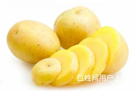 饭堂食品配送-土豆 - 图片 1