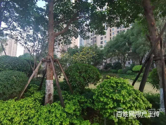 三安光电，彩虹跑道，联鑫，工业集中区精装修两房拎包入住 - 图片 12