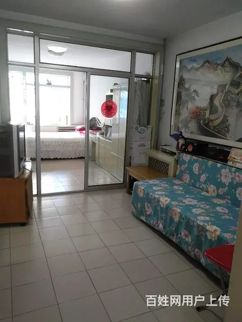 华茂小区口腔医院附近桃花街1室一厅南北通透 - 图片 1