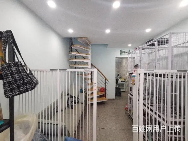 旺铺居）高端消费中心宠物老店转让 - 图片 4